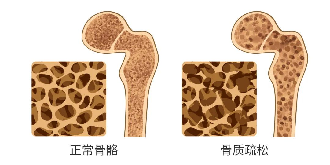 微信图片_20240617093519